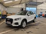 AUDI Q2 Audi Q2 Business Edition Advanced 35 TFSI 110(150) kW(ch) S tronic #0