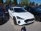 preview Ford Focus #0