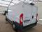 preview Fiat Ducato #1