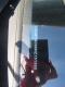 preview MG MG5 #4