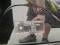 preview BMW 330 #2