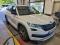 preview Skoda Kodiaq #1