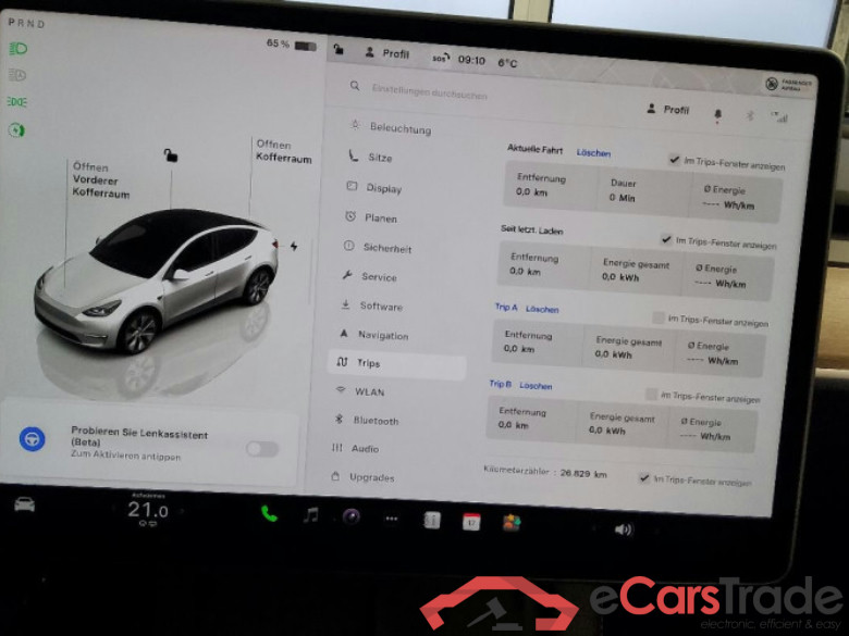 Tesla Model Y - SUV5 Dual, Maximale Reichweite Dual AWD, 2021 - 2025 Maximum Range / Premium #6