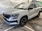 preview Skoda Karoq #0