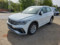 preview Volkswagen Tiguan #0