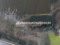 preview Volkswagen Polo #3