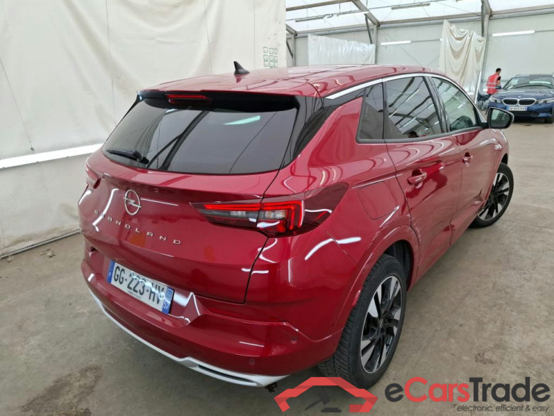Grandland X Elegance Business 1.5 130CV BVA8 E6d #3