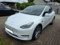preview Tesla Model Y #1
