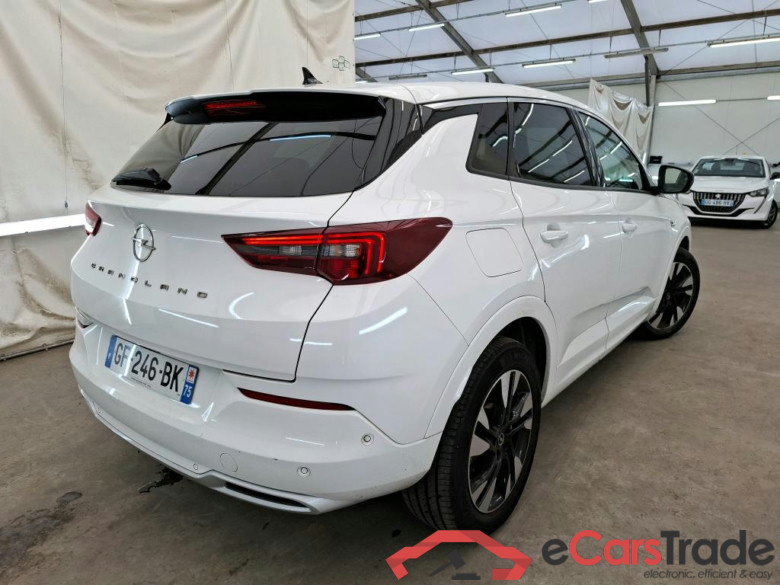 Grandland X Elegance Business 1.5 130CV BVA8 E6d #3