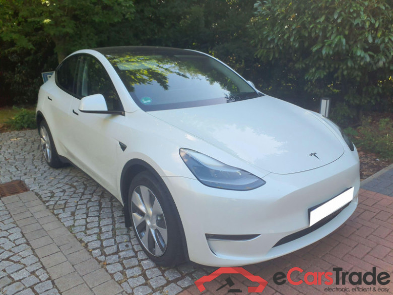 TESLA Model Y  #1