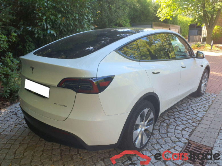 TESLA Model Y  #3