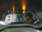 preview Renault Clio #4