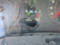 preview Renault Kangoo #4