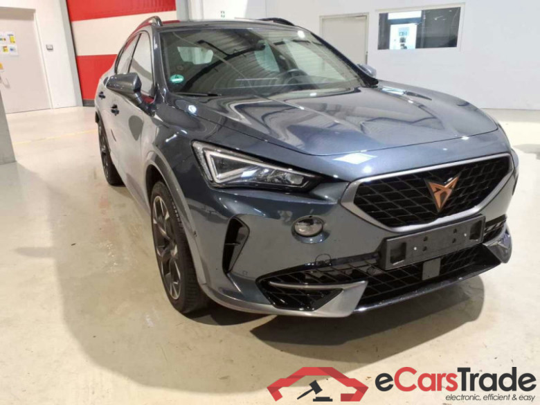 Cupra Formentor (KM7)(08.2020->) DE - SUV5 2.0 TSI EU6d, VZ 4Drive, 2020 - 2024