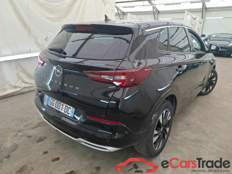 Grandland X Elegance Business 1.5 130CV BVA8 E6d #3
