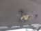 preview Volkswagen Polo #4