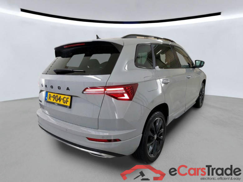 SKODA Karoq 110 kW #6